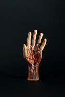 Cover image for Hand model