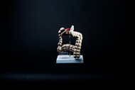 Cover image for Colon model