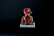 Cover image for Rectum model