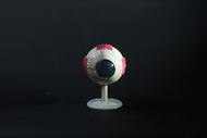Cover image for Magnified eye model